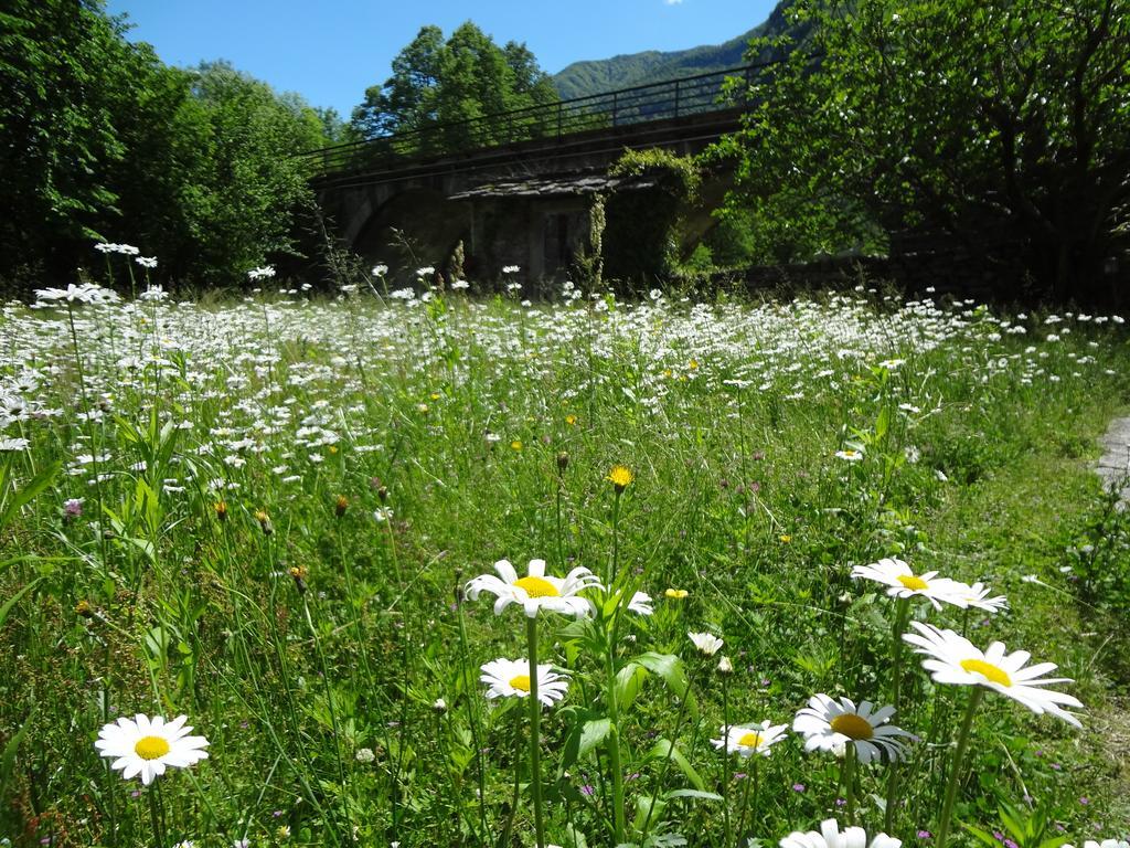 Casa Martinelli, Boutique-Hotel Maggia Luaran gambar